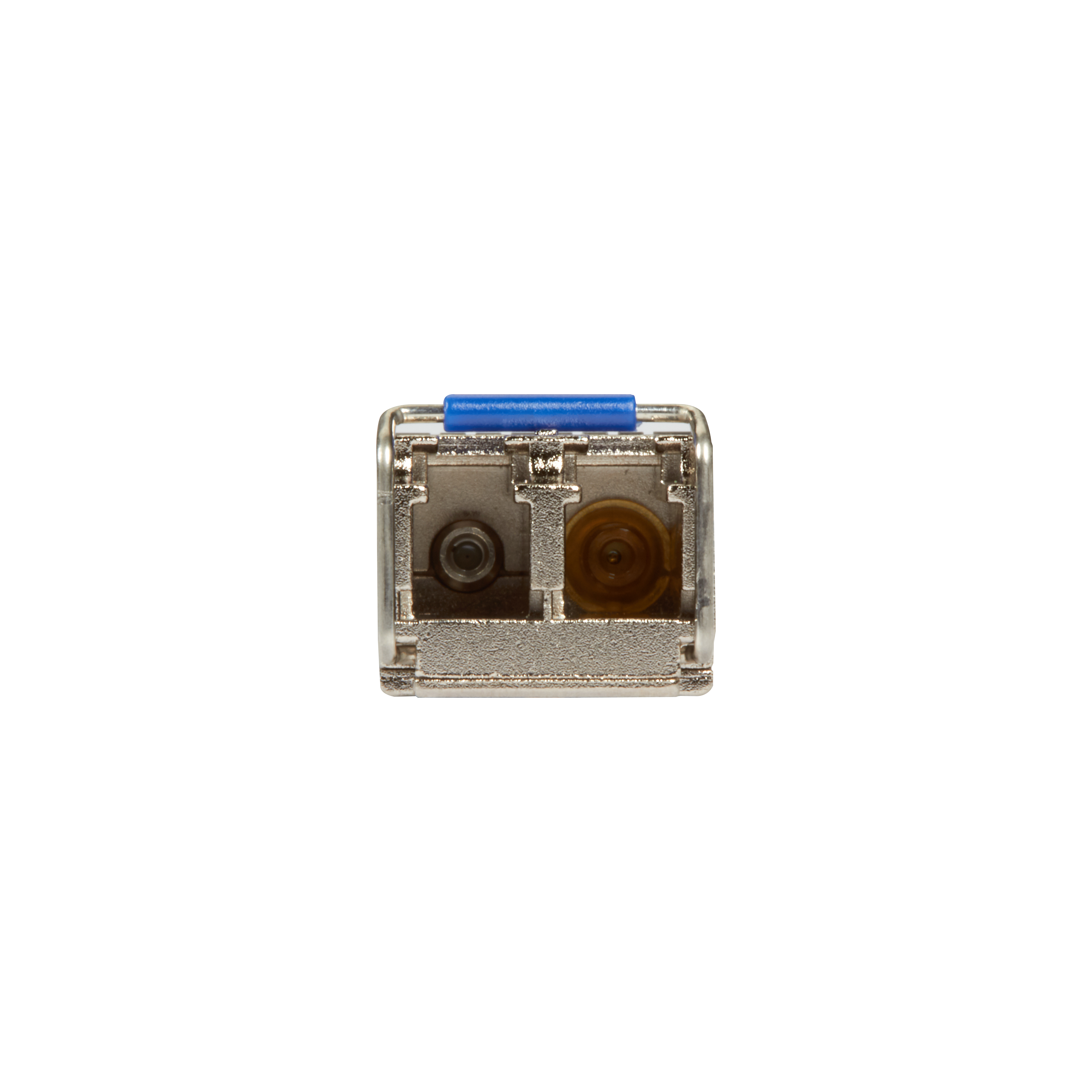 lfp441 (2).jpg